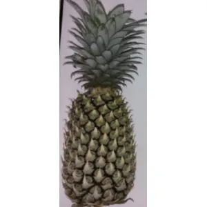 Green pineapple