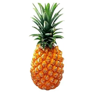 Yellow pineapple