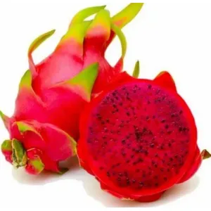 Red dragon fruit