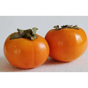 Persimmon