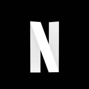 Netflix private [Full account]