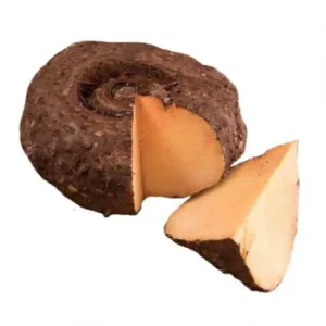 YAM ELEPHANT  