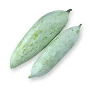 SNAKE GOURD  