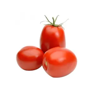 TOMATO APPLE  