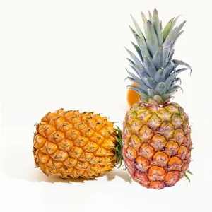 PINEAPPLE  