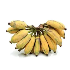 BANANA HILLS