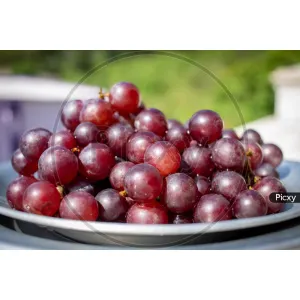 GRAPES PANNER  