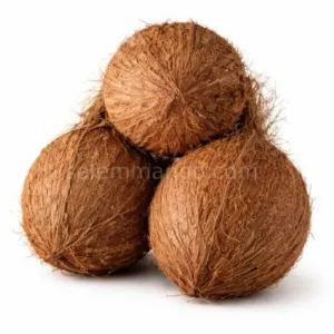 3Fresh Coconut | Useful for Cooking & Pooja purpose | Make Fresh Coconut milk for Babies


