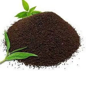Coorg Tea 