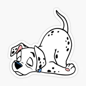 Dalmatian 