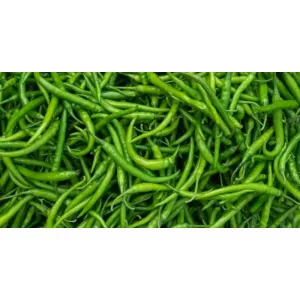 Green chill Hari mirchi