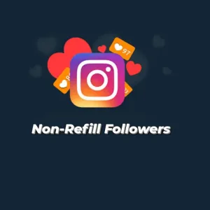 Instagram Non-Refill Followers 