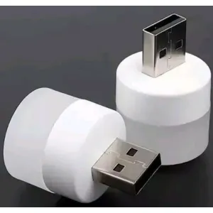 TECH CLASSIC MINI USB LED BULB 2 Led Light 