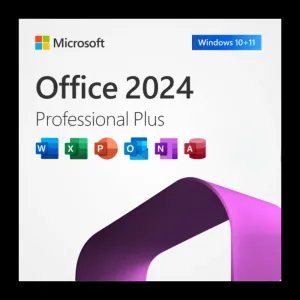 MS Office Pro Plus 2024