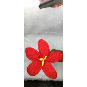 Lily Flower
