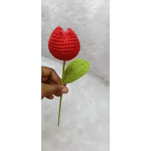 Tulip
