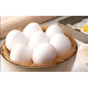 White Eggs – Pack Of 6 
