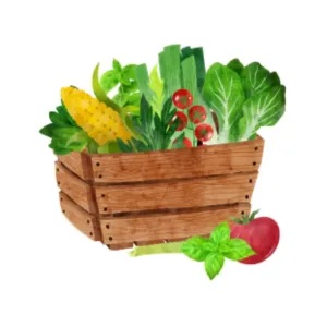 Vegetables & Fruits
