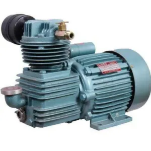 Compressor motor