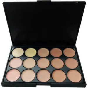 FT 15color concealer palette for professional makeup artist