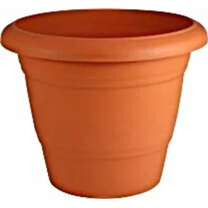Plant Plastic Pot (13 No.)