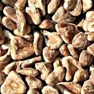 Singhada , 500G
