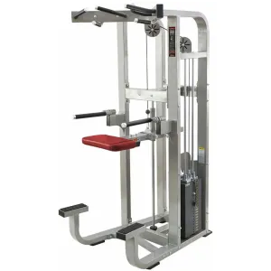 Assisted Dip Chin Machine