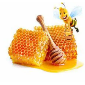 Jai Gurudev Honey ( Raw Honey ) 1 Kg