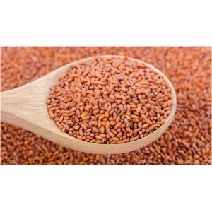 Halim | Garden Cress Seeds | Aliv Seeds | Asaliya | Adala Ginjalu