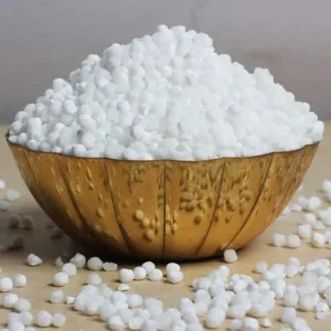 Mota Sabu Dana | Sabu Dana | Saggubiyyam | Pedda Saggubiyyam | Sago | Tapioca Pearls