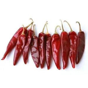 Sabut Lal Mirch | Whole Red Chili | Endu Mirapakayalu
