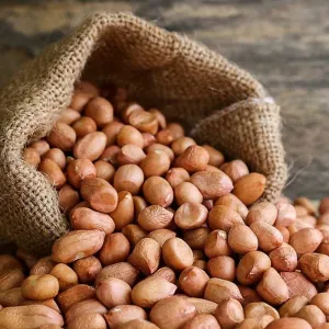 Palli | Pallilu | Mungfali | Peanuts | Groundnuts