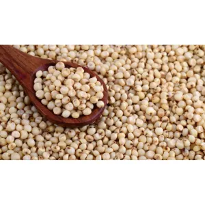 Jawari Small | Jowar | Chhoti Jowar | Jonnalu | Chinna Jonnalu | Sorghum