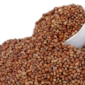 Lobia | Black-eyed Peas | Bobbarlu | Alasandalu