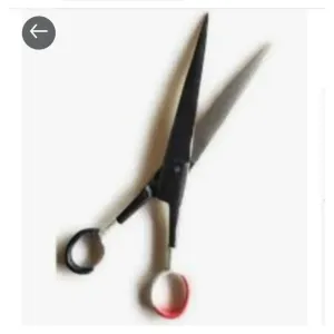 Scissor Sadi Medium