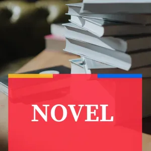 NOVEL