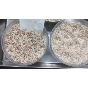 Rajamudi rice