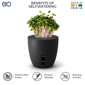 TERRA Self watering plant pot
(2 colors)