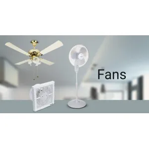 Fans