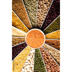 PULSES, SUGAR, ETC