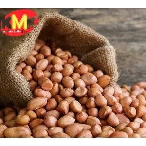 PEANUTS-పల్లీలు 