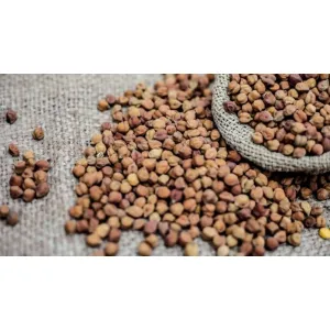 Kale Chana