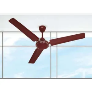 Polycab Fan zoomer (Plain)