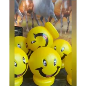 Smiley money back (12pc)