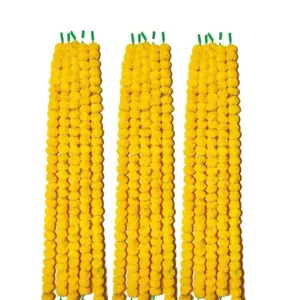 Pack of 5 ( lemon yellow)