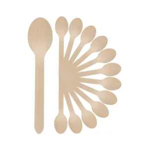 Disposal small spoon