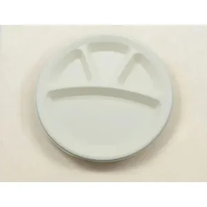Disposable plates 