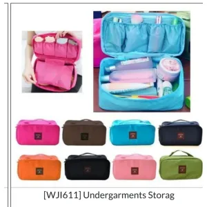 Undergarments organizer 