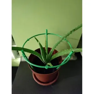 PLANT SUPPORT CIRCLE RING (1SET) (B13)
Â