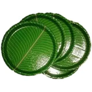 Paper Thali Used And Throw 25 Pic